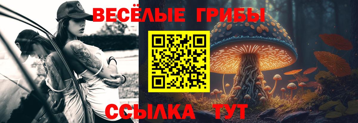 Солнечногорск  Галлюциногенные грибы ЛСД  Вход с VPN 